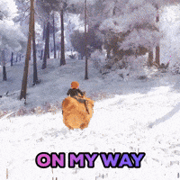 Lets Go GIF by Gameforge