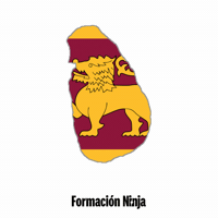 Sri Lanka Flag GIF by Formación Ninja