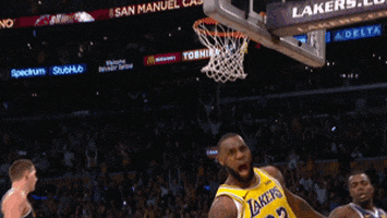 excited lebron james GIF by NBA