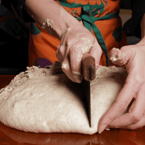sourdoughdisco giphyupload disco sourdough GIF