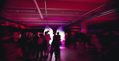Electronic Dance Music Edm GIF by Meow Wolf
