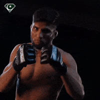 Ufc Pakistan GIF