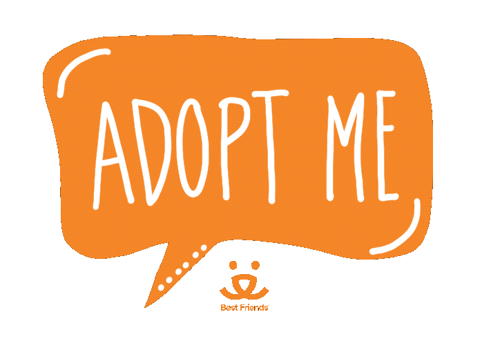 Heart Hello Sticker by Best Friends Animal Society