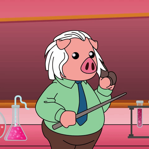 Einstein Pig