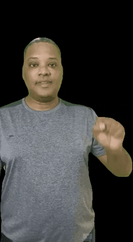 librassalvador giphygifmaker simemlibras GIF