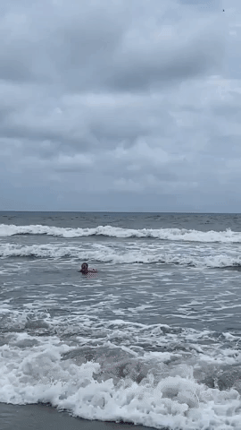 Fin in the Water Sends Girl Running in Myrtle Beach, South Carolina