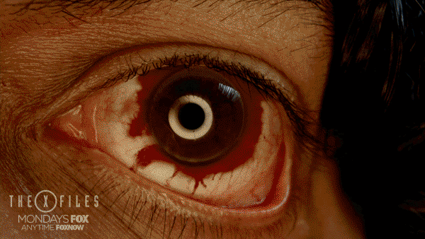 scully mulder GIF by The X-Files