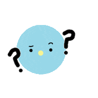 Duda Sticker