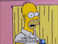 homer simpson GIF