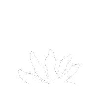 Skincare Waxing Sticker by The Pink Canoe Studio