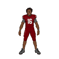 College Football Sticker by Panini America