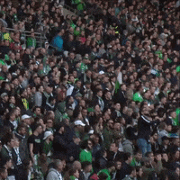 geoffroy-guichard magic GIF by AS Saint-Étienne