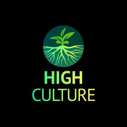 High_Culture cbd hemp highculture highculturecanna GIF