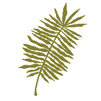 Leaf Fern Sticker