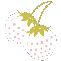 Illustration Strawberry Sticker by copochan