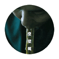 Nightinparadise Sticker by Netflix Korea
