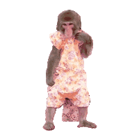 Happy High Spirits Sticker