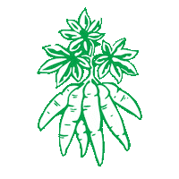 Miami Snack Sticker by Chifles