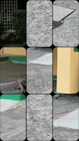 ivnramrez giphyupload GIF