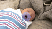 pacifier sleeping GIF