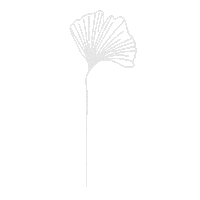 Flower Ginkgo Sticker by Stereo Productions