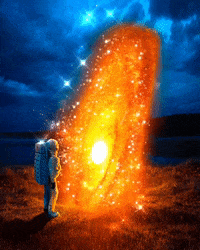 GIF by Lumi