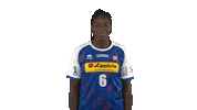 handballbundesligafrauen handball hbf handball bundesliga frauen quist Sticker