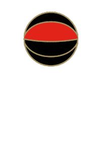 Basketball Hospital Sticker by NewYork-Presbyterian