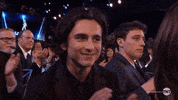 Timothee Chalamet GIF by SAG Awards