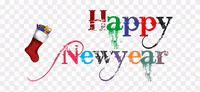 pinkonewyear GIF