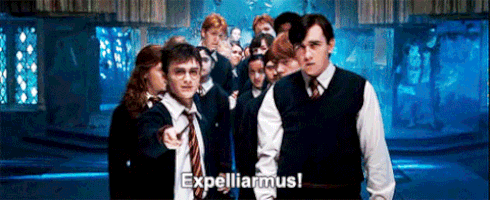 harry potter and the order of the phoenix GIF