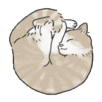 Cats Sleep Sticker by nune