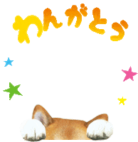 Shiba Sticker by marutaro