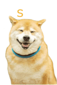 marutaro shiba shibainu marutaro shibainumaru Sticker