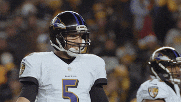 Happy National Football League GIF by Baltimore Ravens