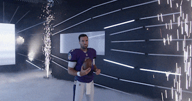 Joe Flacco Reaction GIF by Baltimore Ravens