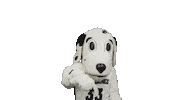 Dog Mascot Sticker by Providence Friars