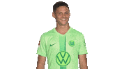 Football Love Sticker by VfL Wolfsburg