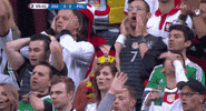euro 2016 GIF by Sporza