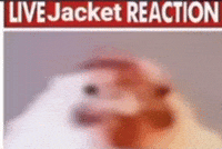 Hotline Miami Chicken GIF