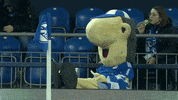Football Soccer GIF by FC Schalke 04