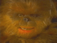 star wars holiday special GIF