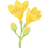 Drfelisflower Sticker by Dr.Felis