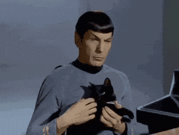 asudeasar giphyupload GIF
