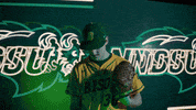 Ndsu Baseball GIF by NDSU Athletics