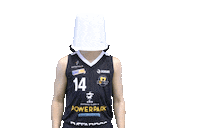 Sport Basketball Sticker by Basket_fi