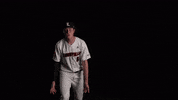 University Of Louisville Baseball GIF by Louisville Cardinals