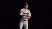 University Of Louisville Baseball GIF by Louisville Cardinals