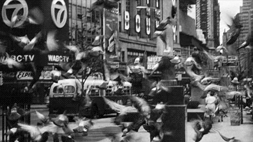 slatefr giphyupload GIF