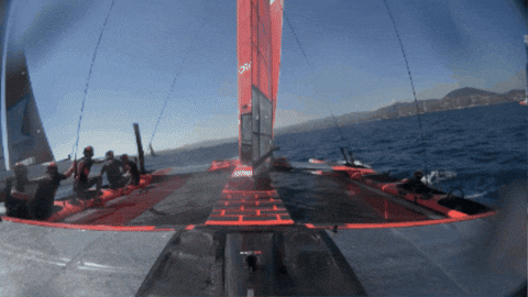 Racing GIF by SailGP